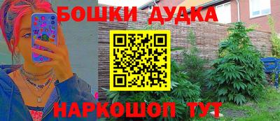 индика Свободный