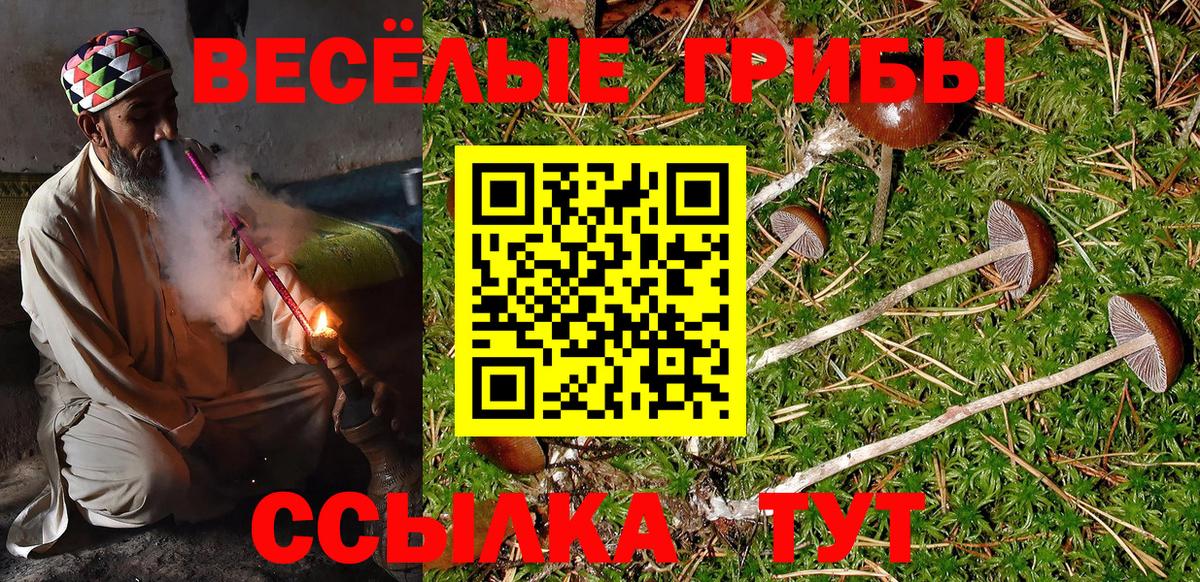 Галлюциногенные грибы мицелий  Вход с VPN  Ржев  Галлюциногенные грибы мицелий 